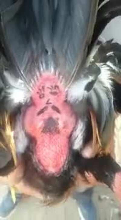 I mean, how do you even come up with this kind of things?