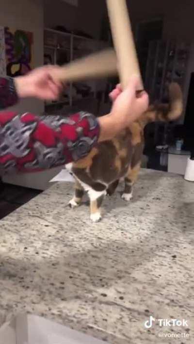 She demands the drum