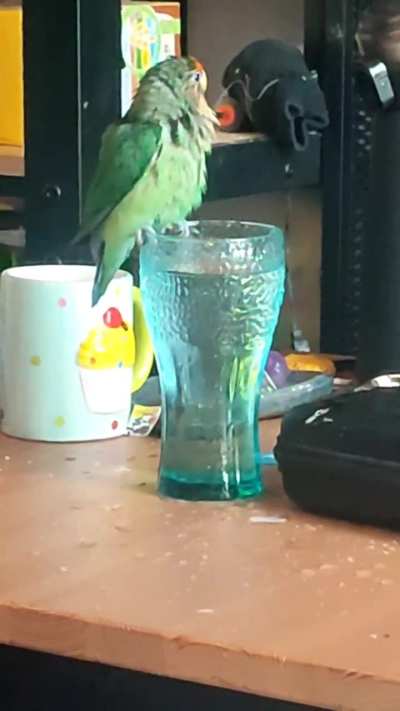 My secondbird doesn't know how to bathe. Need advice.