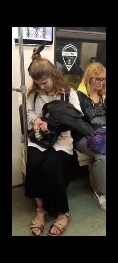 Crow Lady inside Moscow Metro