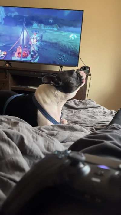 Singing along to the shamisen