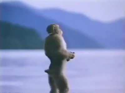 Perlence subrange 6-36