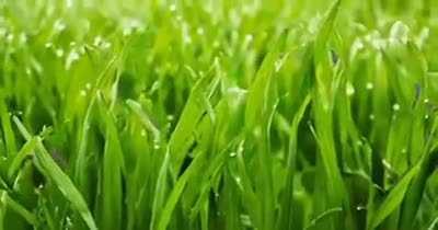 Makima's hottest moments in manga compilation