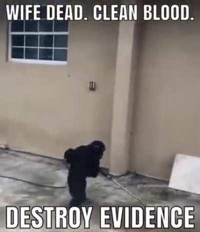 Destroy evidence 🐵