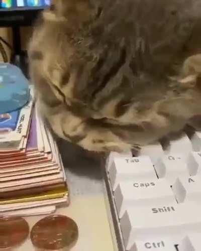 cromching on some keyboard