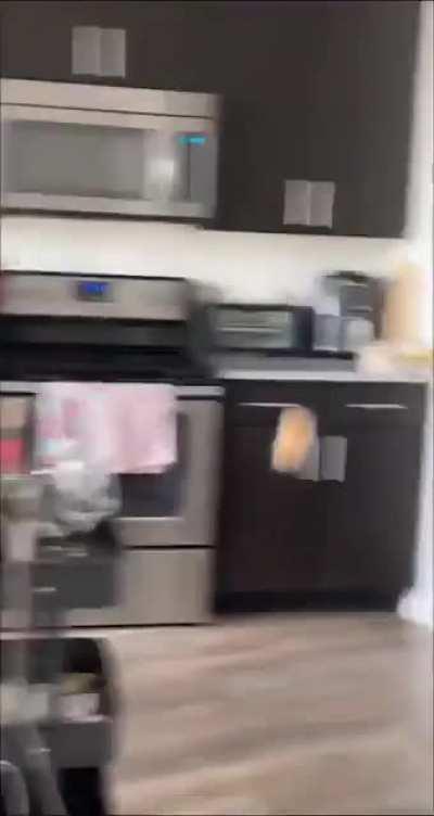 I guess the cat wasn&rsquo;t clawful enough