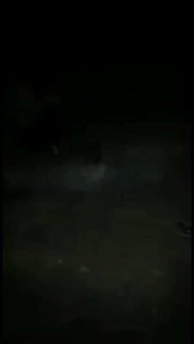 They just wanted to ignite firework