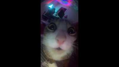 O bapo vendo o felps jogar beat saber catJAM