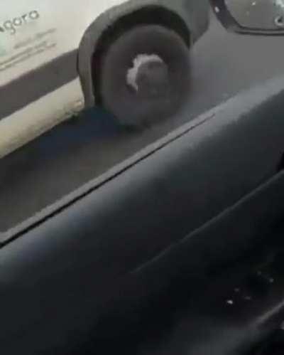 Maturity level of Brazilian Drivers.