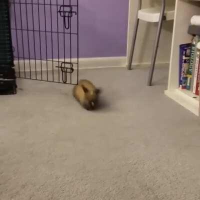 That little hop-turn in the middle is called a 