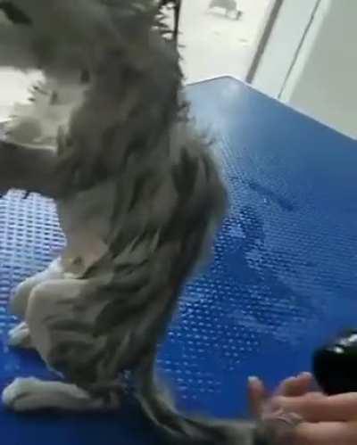 You wait human, paybacks a bitch