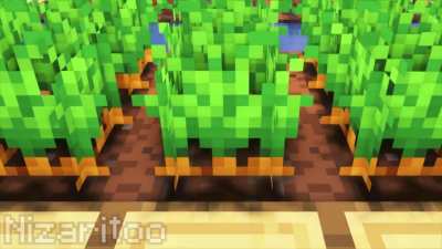 How It Feels To Switch The Game Language.