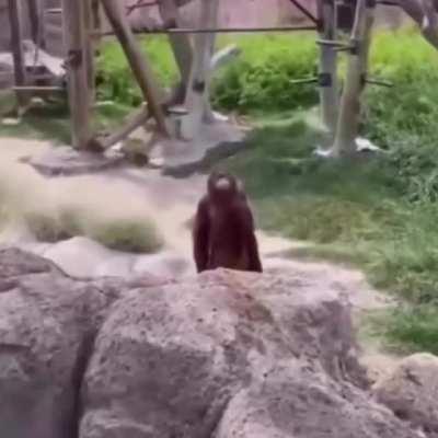 Is he asking for the apple or challenging her to a fight.