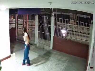 This family lost its dog a couple of days ago, he found his way back home. Here's their reaction