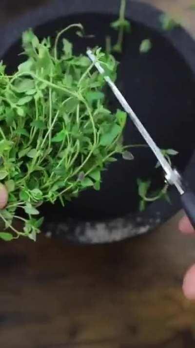 Not a big fan of ratatouille (food) but this did made me smile