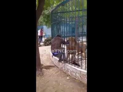 Petting wild local wildlife