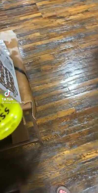 Uh no guys, I didn’t mean it!