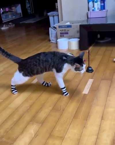 no more socks for me!