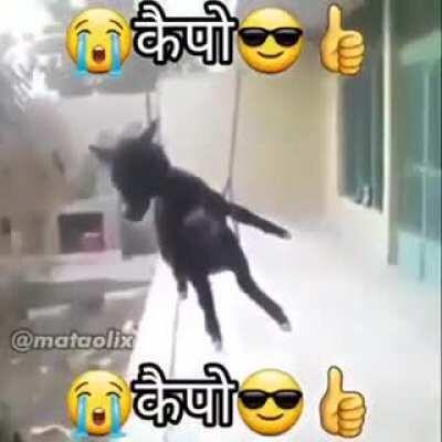 😥😭🤟مرحبًا ، أنا شاذ