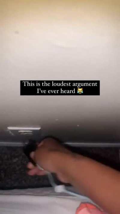 Orange cat activities