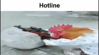 hotline