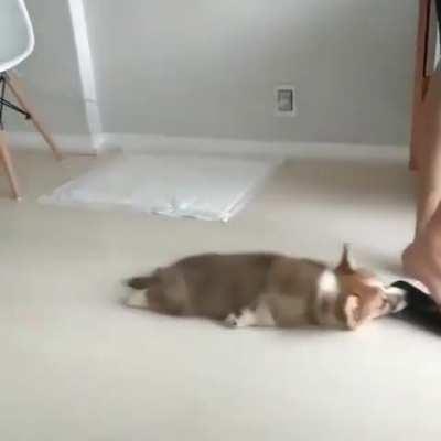 Sir, there's something stuck to your flip flop.