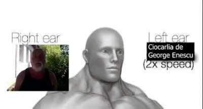 urechea dreapta:vasile traian urechea stanga:Ciocarlia de george enescu (2x viteza)