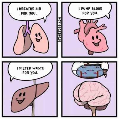 Yet another Brick meme, enjoy).