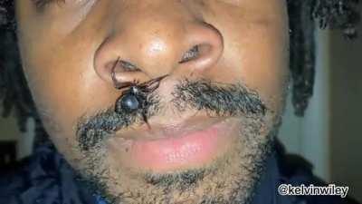 New Black Widow movie looks disgusting af