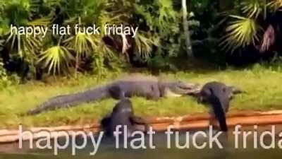 It is that time of the week again