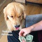 Accounting assistant