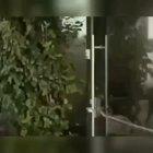 Honestly didn’t see that coming