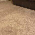 Dogs truly are gifts