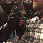 Was at a ritual so missed bedtime, cosplayers helped me sing twinkletwinkle to my toddler. Judge this band by its fans, most polite, respectful, awesome crowd of any show I've ever been to.