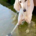 guess I'll stay like that