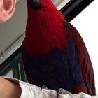 Found out why my Xbox was randomly turning on..