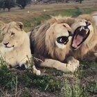 🔥 Make way for the Queen 🔥