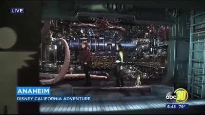 Reporter freaks out and faints on live news broadcast