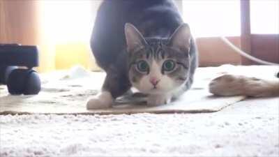 With that big fat booster