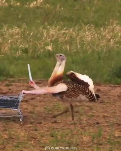 Эээммм... и все же хорошо, что у них нет рук