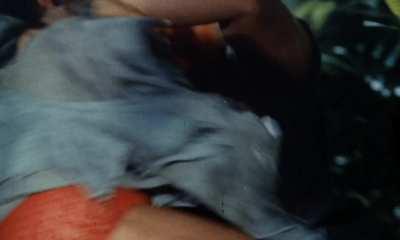 The one that didn't get away - 99 Women (1969)