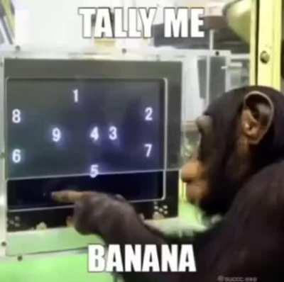 Daylight come and me wan' go home 🐵