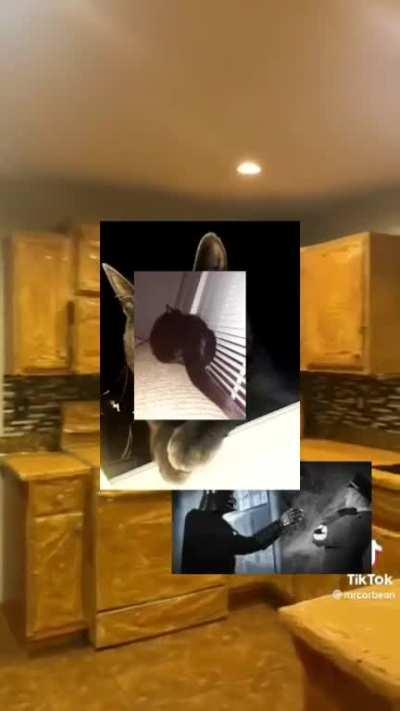 penis butler111!!!1🥜