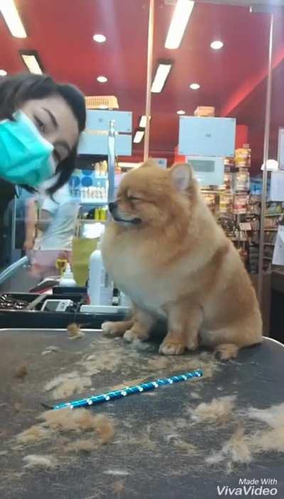 Low power warning... critical power... shutting dow-