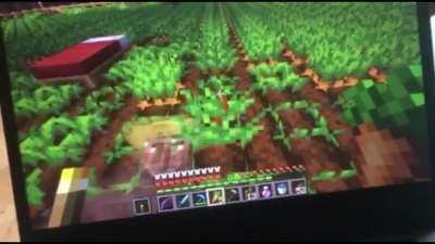 True floor gang members don’t stand up for dinner