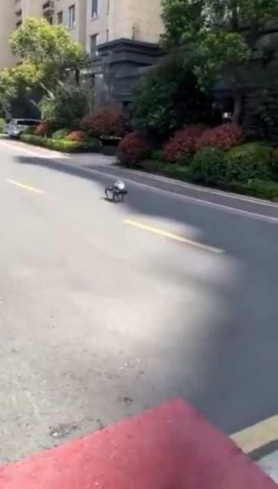 Robot enforcing Shanghai lockdown.