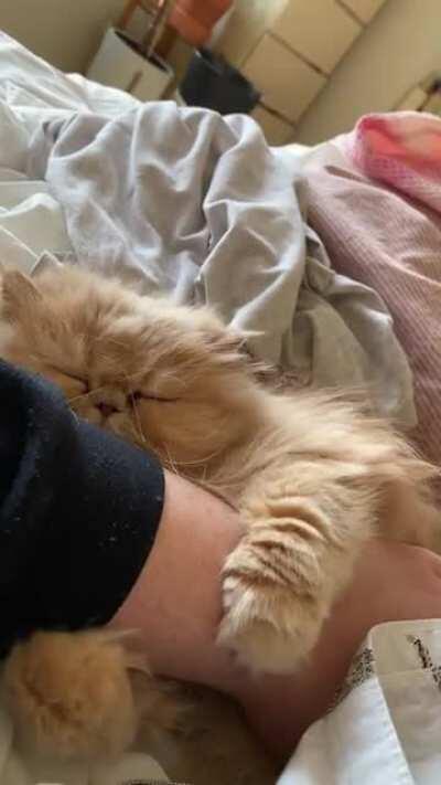 And I thought we were friends!