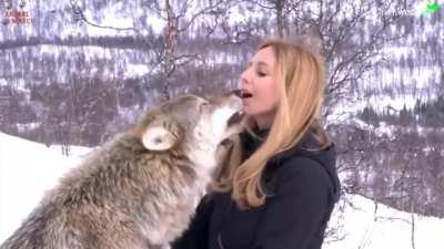 me when i meet legosi irl