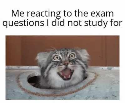 My inner voice be like: what am I doing with my life?