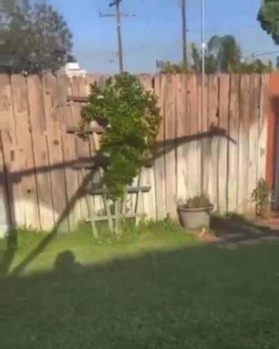 Very calm and relaxed pilot puppet